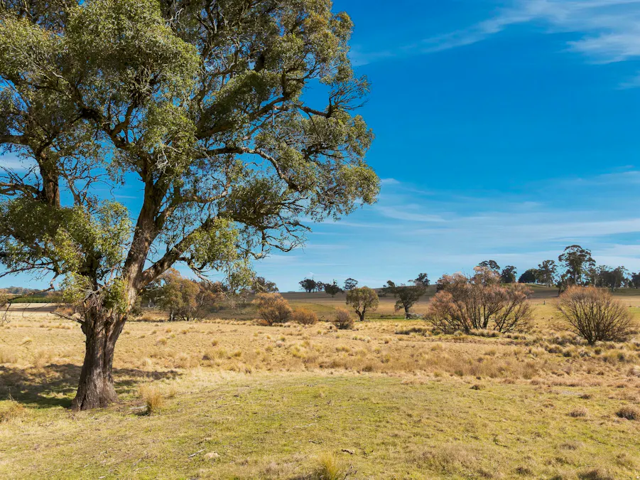 98 Jerula Road, Oberon, NSW, 2787 - Image 10