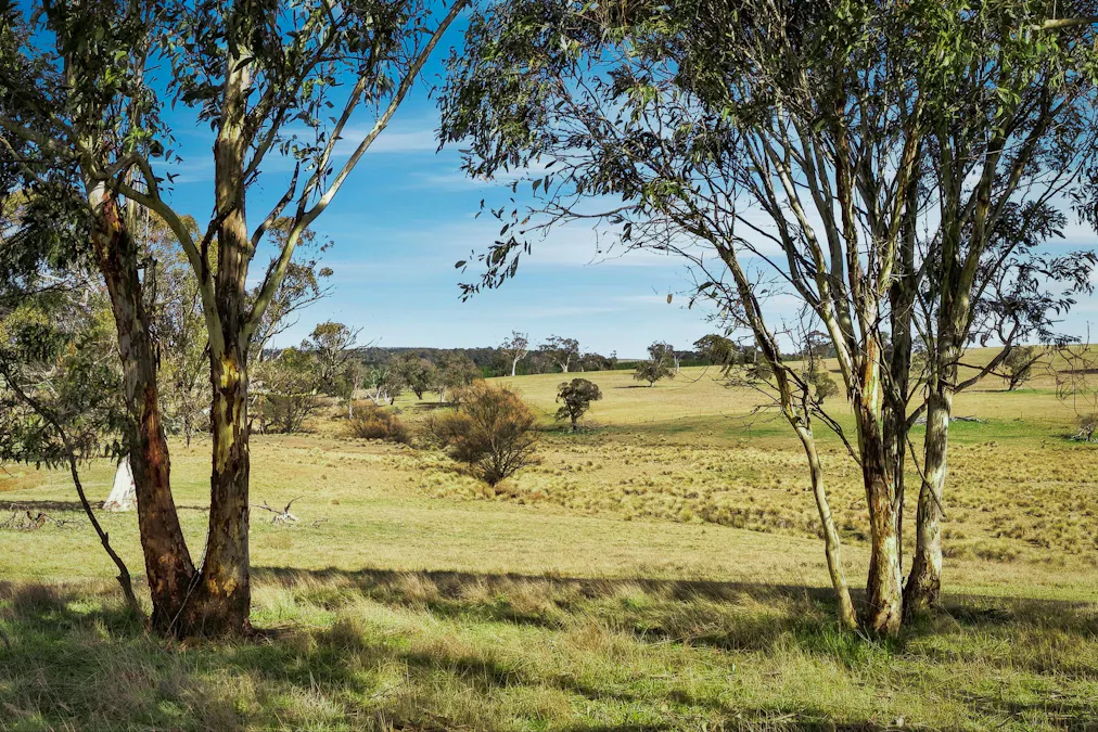 98 Jerula Road, Oberon, NSW, 2787 - Image 30
