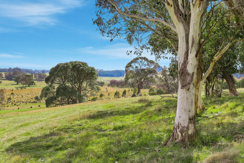 98 Jerula Road, Oberon, NSW, 2787 - Image 31