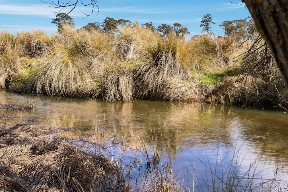 98 Jerula Road, Oberon, NSW, 2787 - Image 3