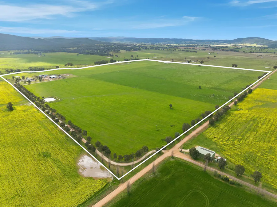 697 Tallarook Road, Cowra, NSW, 2794 - Image 2