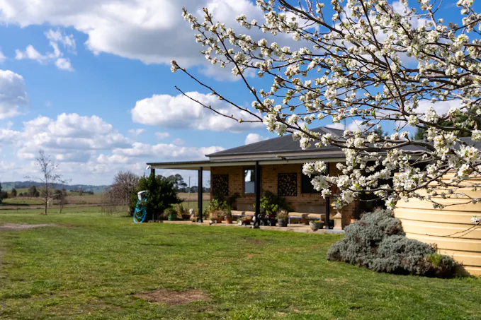 'Ashfield' 1262 Mandurama Road, Neville, NSW, 2799