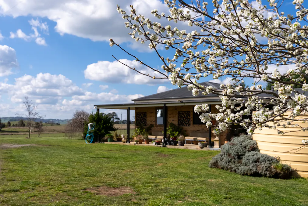 'Ashfield' 1262 Mandurama Road, Neville, NSW, 2799 - Image 3