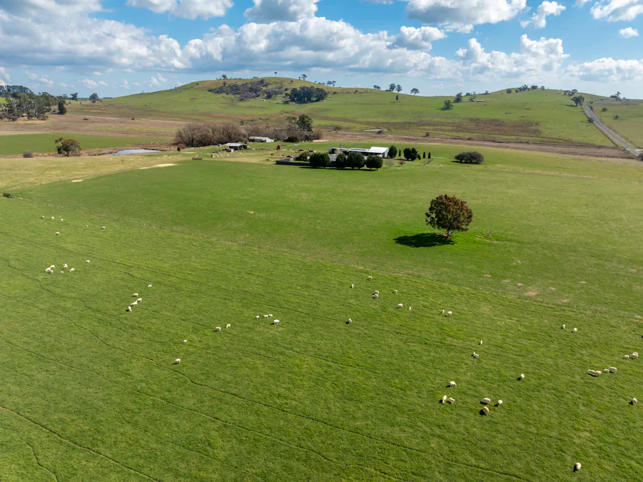 'Ashfield' 1262 Mandurama Road, Neville, NSW, 2799 - Image 21