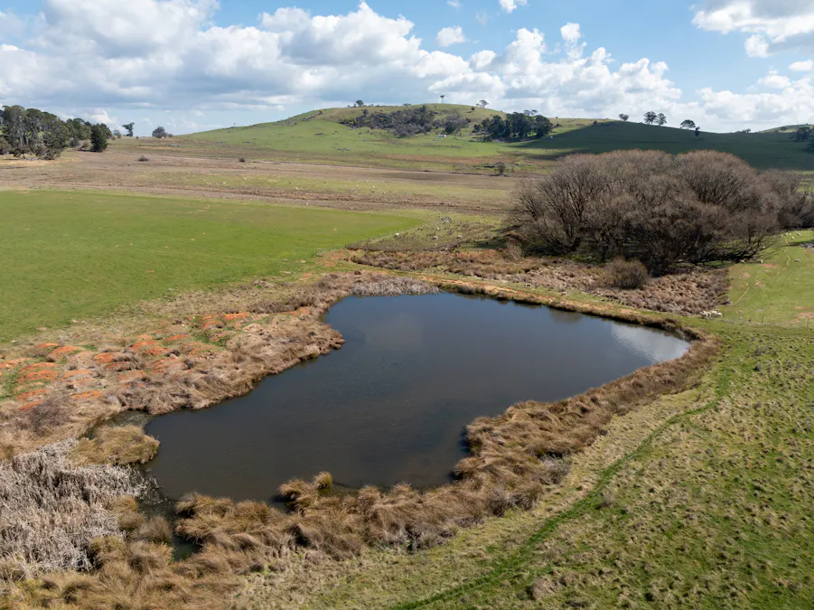 'Ashfield' 1262 Mandurama Road, Neville, NSW, 2799 - Image 7