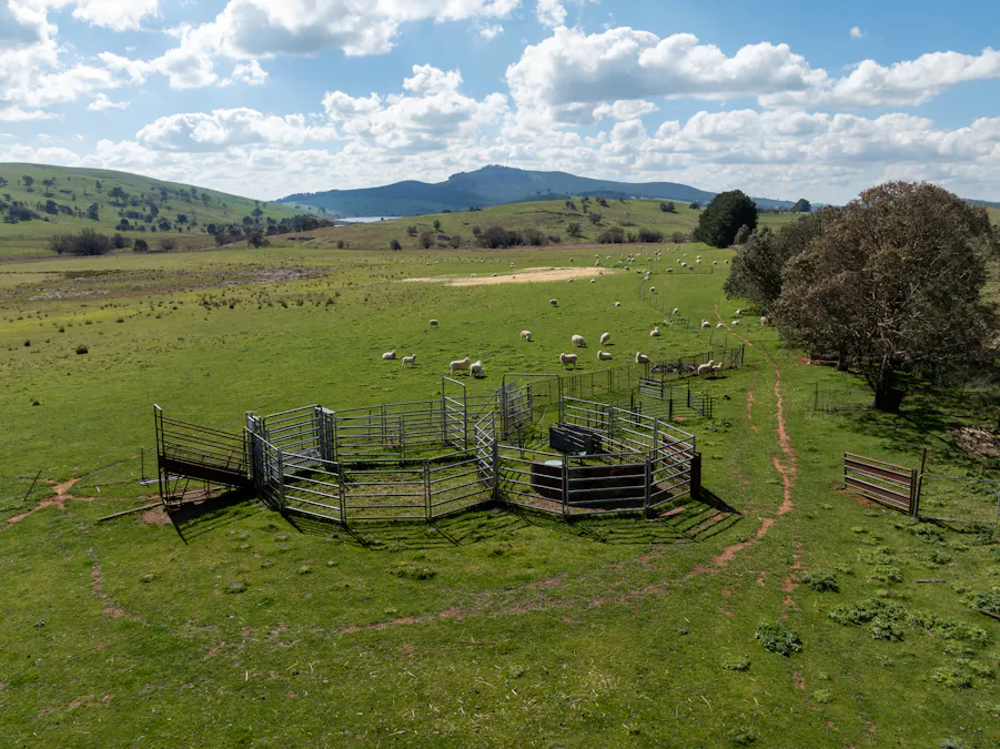 'Ashfield' 1262 Mandurama Road, Neville, NSW, 2799 - Image 22