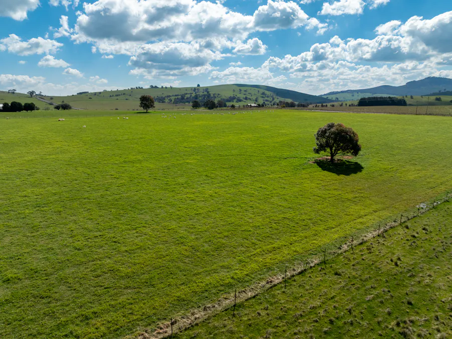 'Ashfield' 1262 Mandurama Road, Neville, NSW, 2799 - Image 26