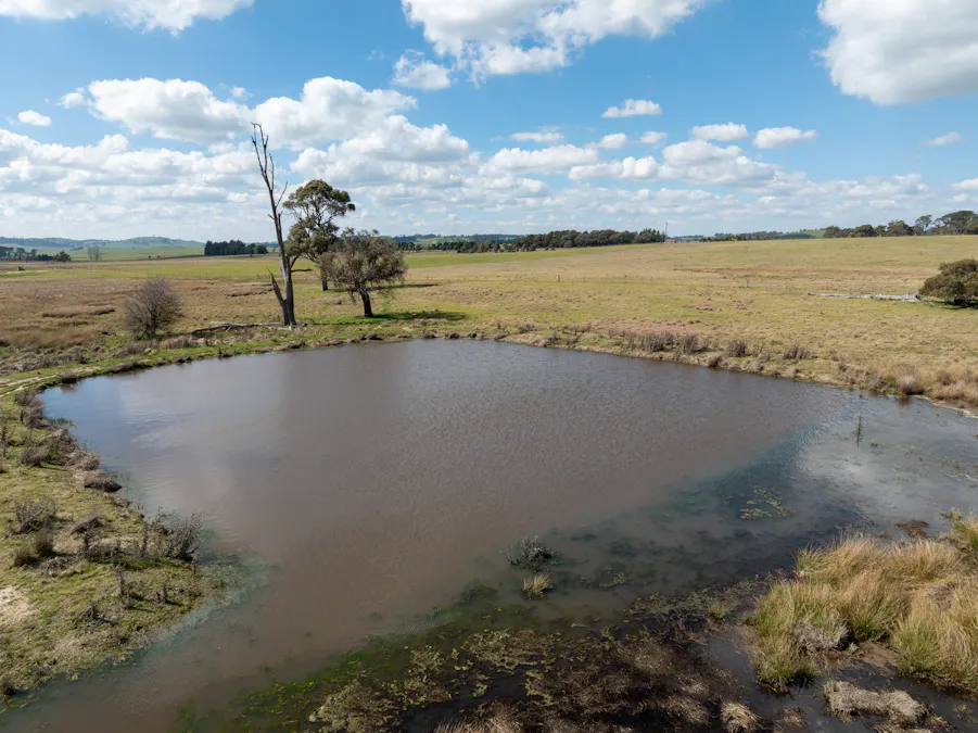 'Ashfield' 1262 Mandurama Road, Neville, NSW, 2799 - Image 27