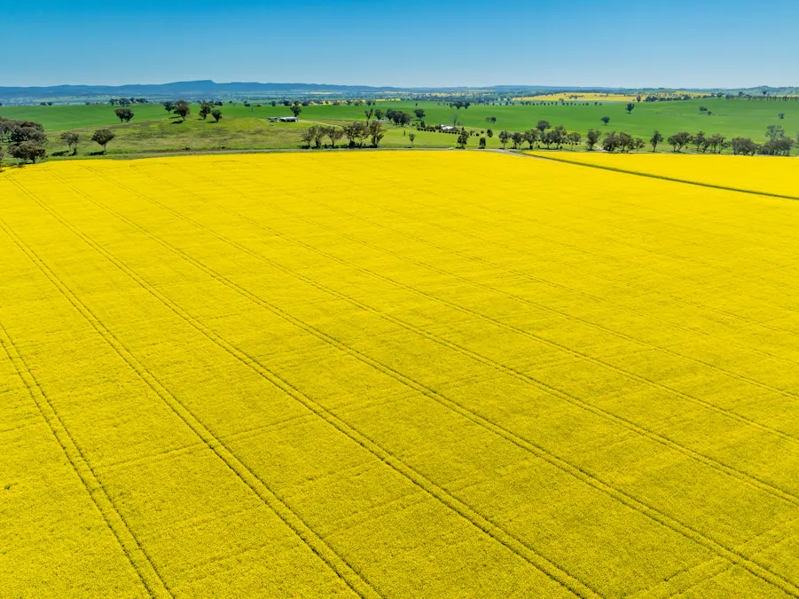 'Smiths' 5171 Cargo Road, Canowindra, NSW, 2804 - Image 1