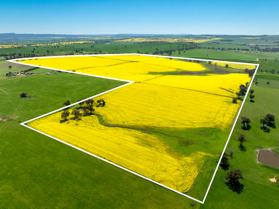 'Smiths' 5171 Cargo Road, Canowindra, NSW, 2804 - Image 5