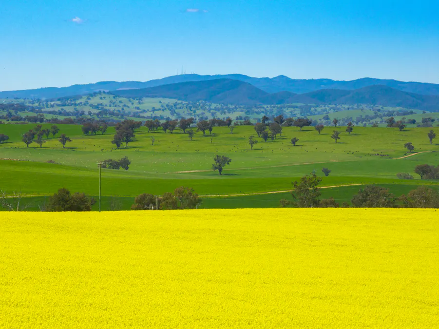 'Smiths' 5171 Cargo Road, Canowindra, NSW, 2804 - Image 6