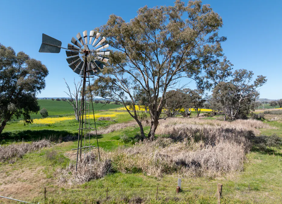 'Smiths' 5171 Cargo Road, Canowindra, NSW, 2804 - Image 9