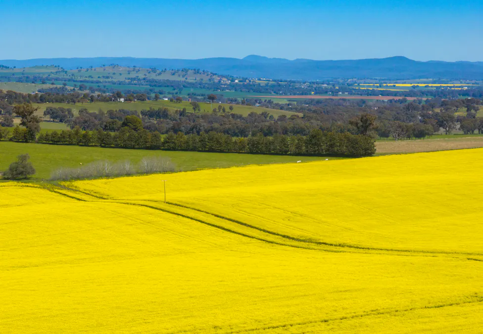 'Smiths' 5171 Cargo Road, Canowindra, NSW, 2804 - Image 8