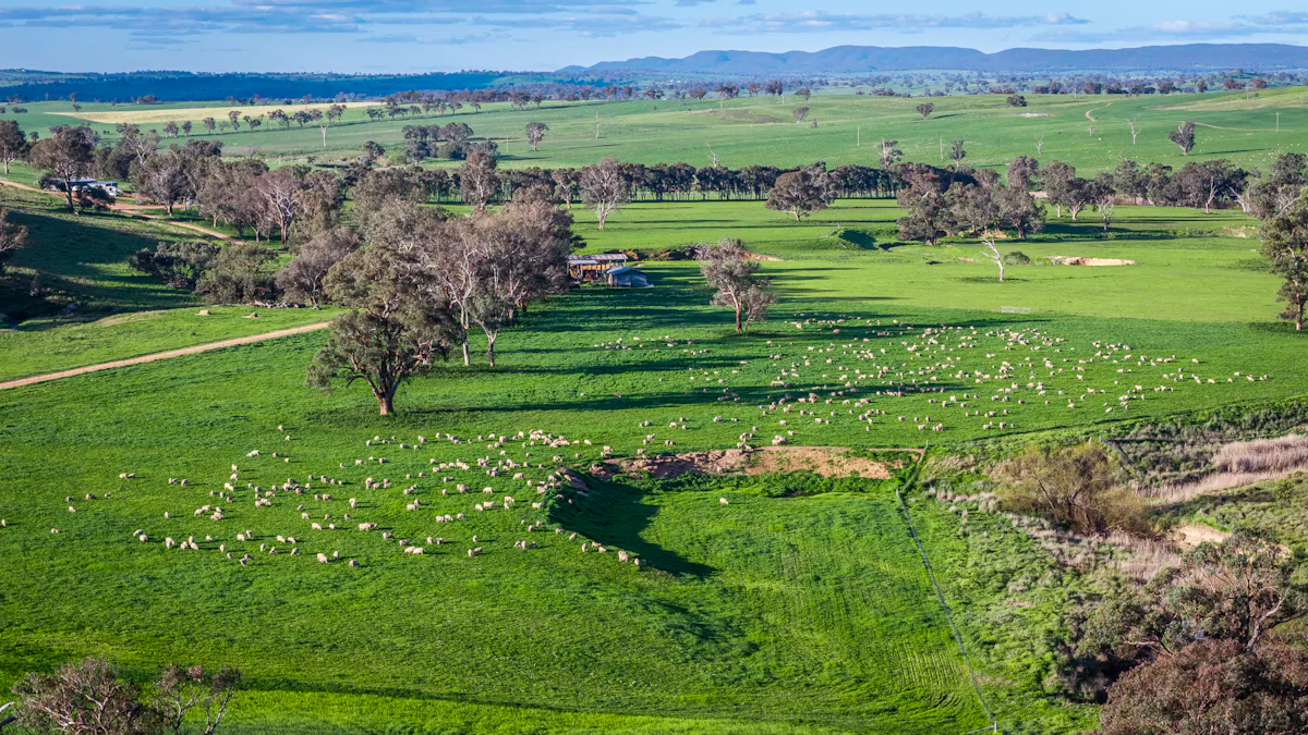 'Old Yullundry' 395 Old Yullundry Road, Cumnock, NSW, 2867 - Image 15