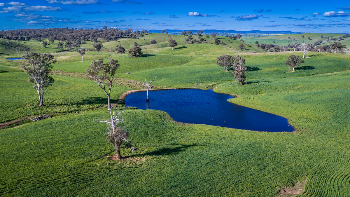 'Old Yullundry' 395 Old Yullundry Road, Cumnock, NSW, 2867 - Image 10