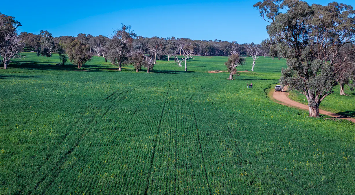 'Old Yullundry' 395 Old Yullundry Road, Cumnock, NSW, 2867 - Image 9
