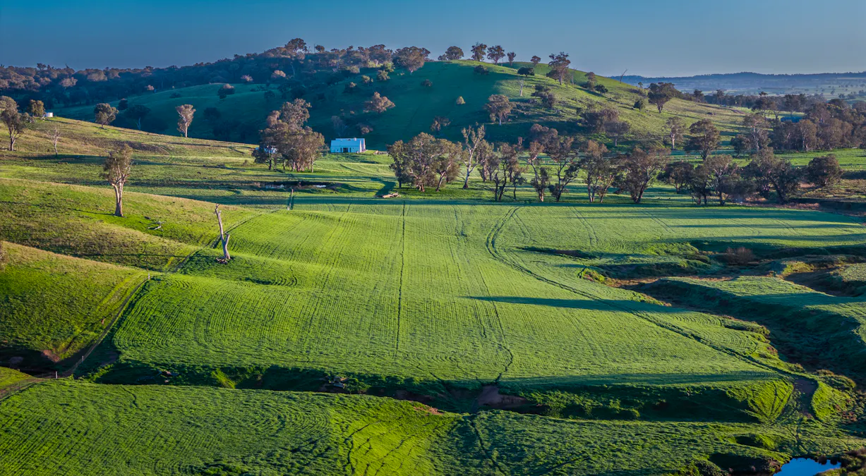 'Old Yullundry' 395 Old Yullundry Road, Cumnock, NSW, 2867 - Image 14