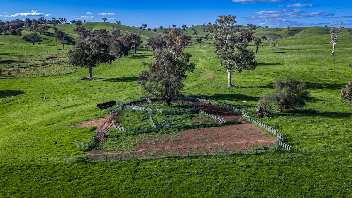 'Old Yullundry' 395 Old Yullundry Road, Cumnock, NSW, 2867 - Image 24