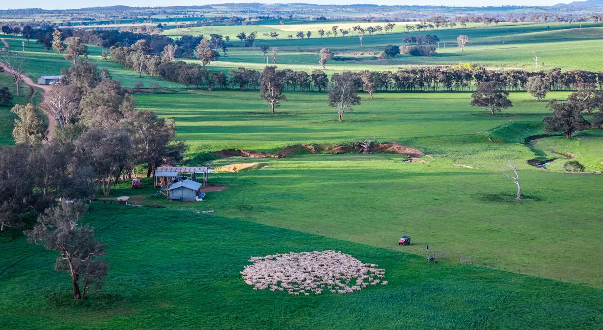 'Old Yullundry' 395 Old Yullundry Road, Cumnock, NSW, 2867 - Image 8