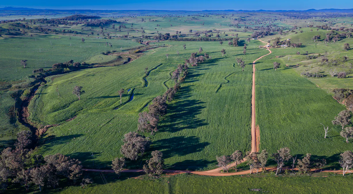 'Old Yullundry' 395 Old Yullundry Road, Cumnock, NSW, 2867 - Image 7