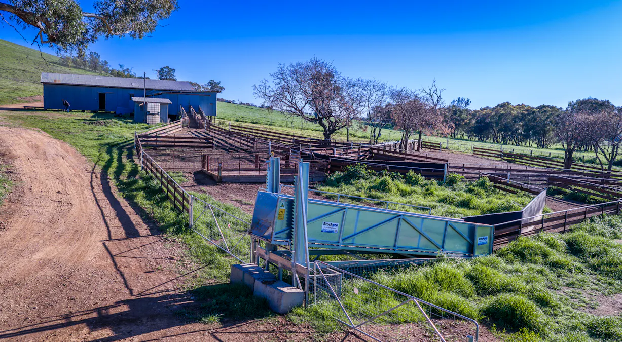 'Old Yullundry' 395 Old Yullundry Road, Cumnock, NSW, 2867 - Image 16