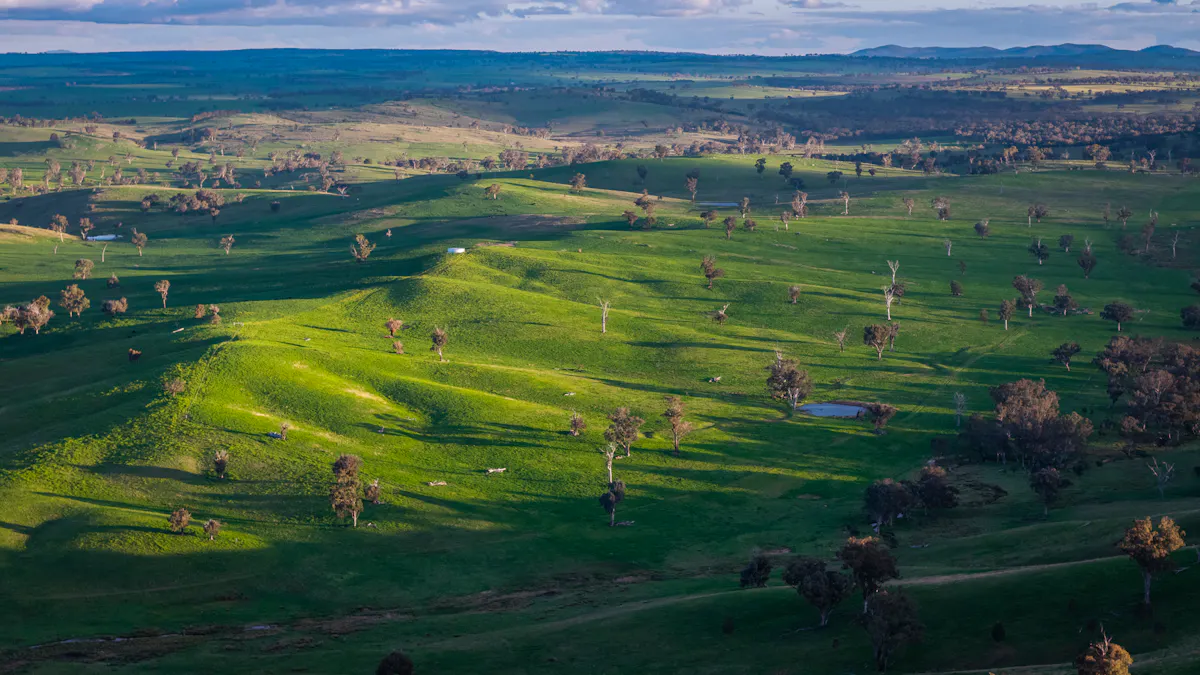 'Old Yullundry' 395 Old Yullundry Road, Cumnock, NSW, 2867 - Image 12