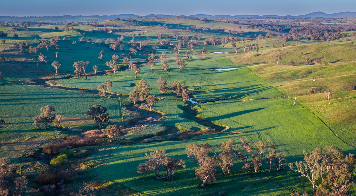 'Old Yullundry' 395 Old Yullundry Road, Cumnock, NSW, 2867 - Image 27