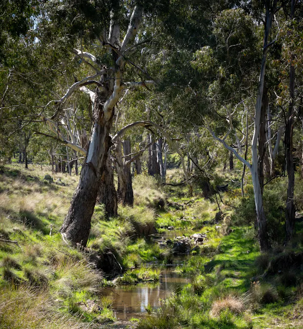 1718 Ophir Road, Orange, NSW, 2800 - Image 1