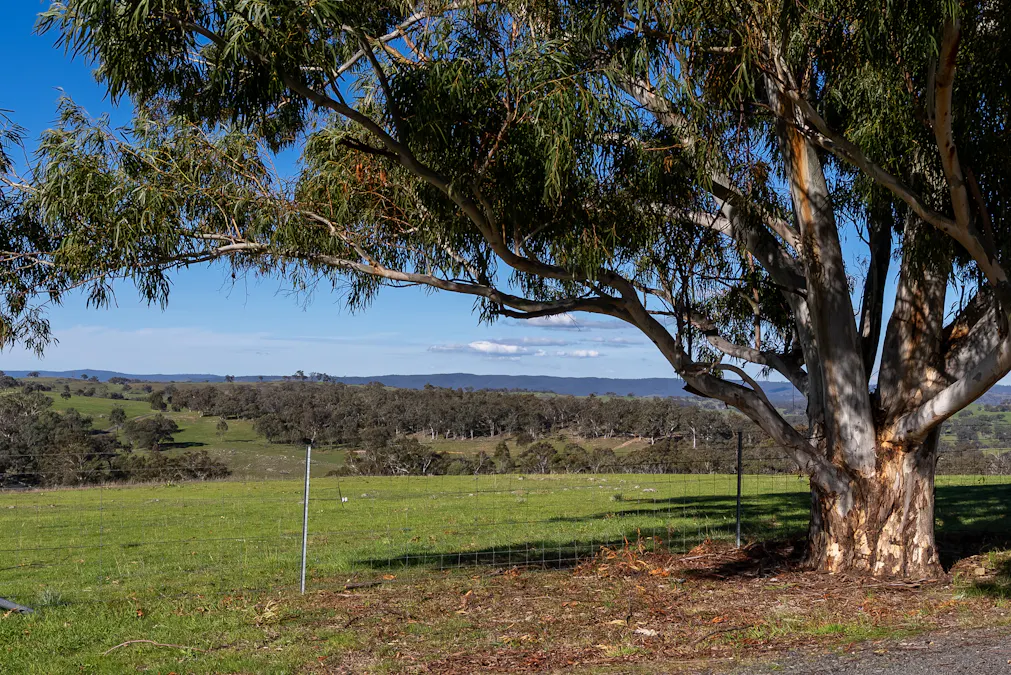 1718 Ophir Road, Orange, NSW, 2800 - Image 2