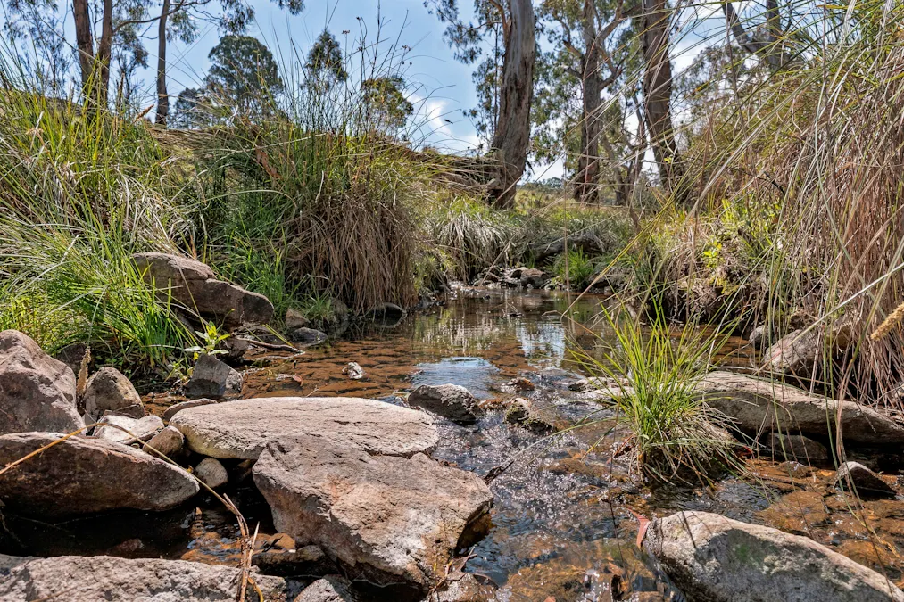 1718 Ophir Road, Orange, NSW, 2800 - Image 17