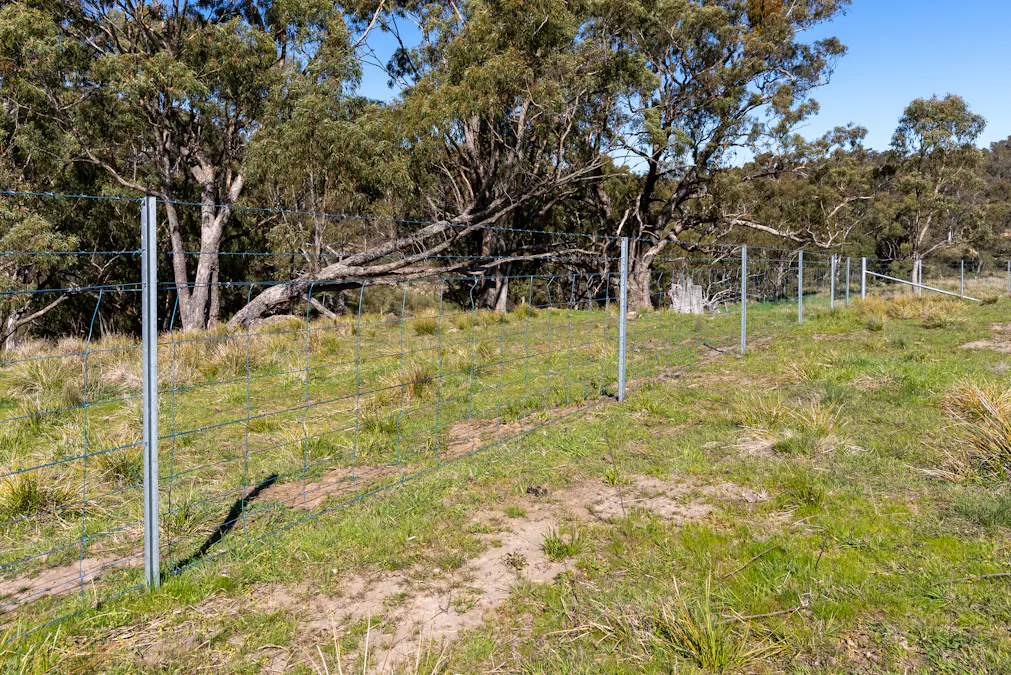 1718 Ophir Road, Orange, NSW, 2800 - Image 19
