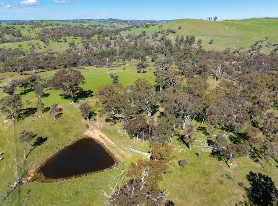 1718 Ophir Road, Orange, NSW, 2800 - Image 22