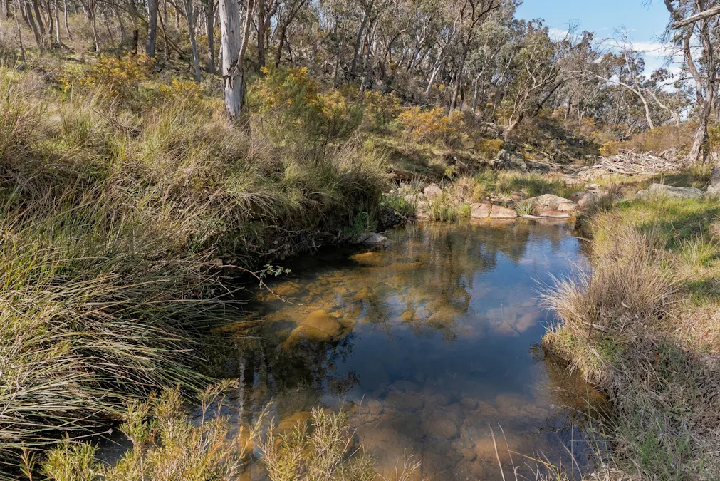 1718 Ophir Road, Orange, NSW, 2800 - Image 26