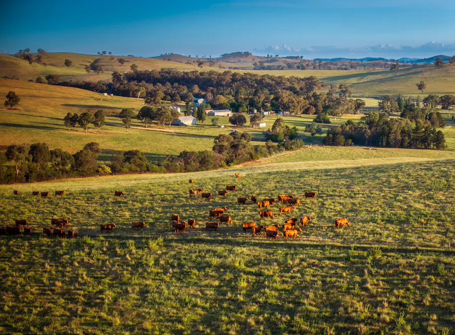 'Burley' 8394 Mid Western Highway, Woodstock, NSW, 2793 - Image 3