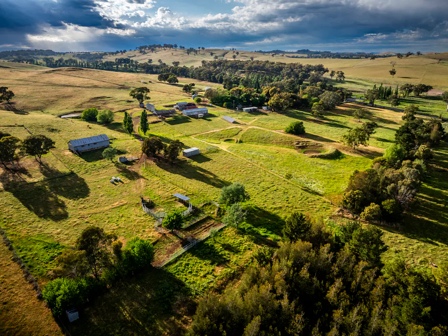 'Burley' 8394 Mid Western Highway, Woodstock, NSW, 2793 - Image 4