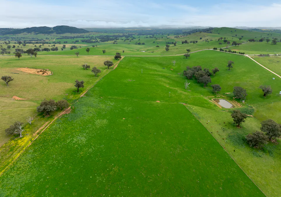 1079 Reg Hailstone Way, Woodstock, NSW, 2538 - Image 5