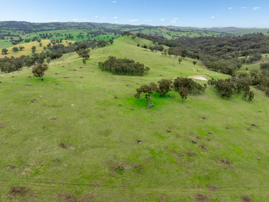 1079 Reg Hailstone Way, Woodstock, NSW, 2538 - Image 11