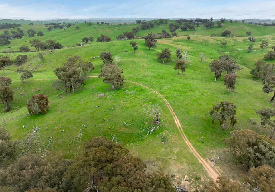 1079 Reg Hailstone Way, Woodstock, NSW, 2538 - Image 12