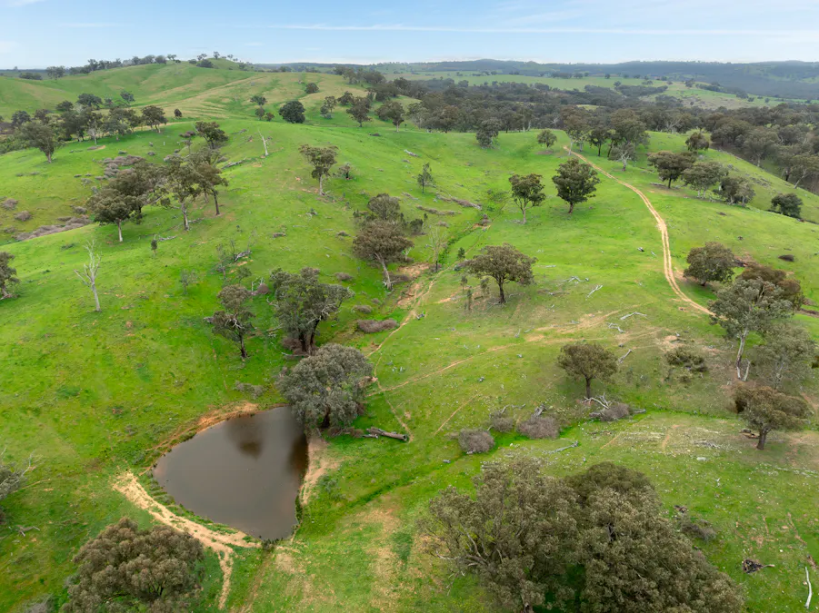 1079 Reg Hailstone Way, Woodstock, NSW, 2538 - Image 13