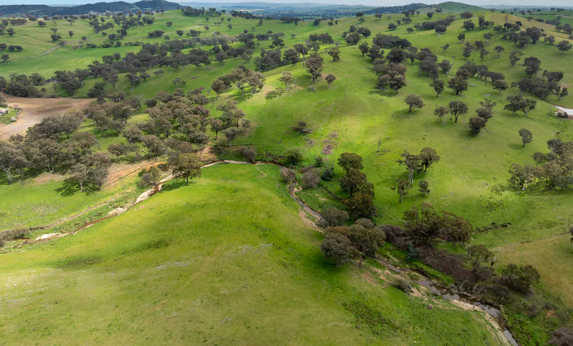 1079 Reg Hailstone Way, Woodstock, NSW, 2538 - Image 15