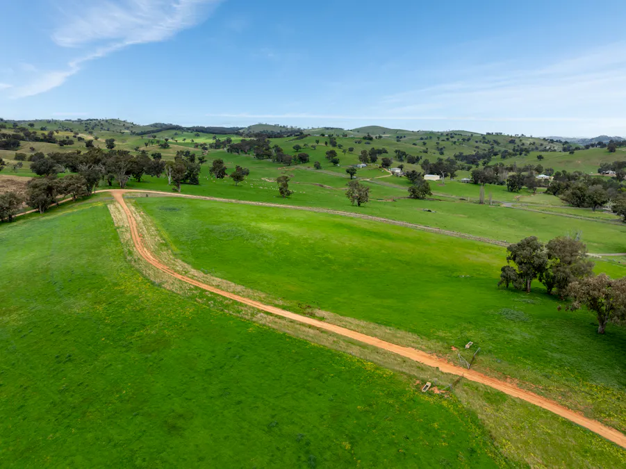 1079 Reg Hailstone Way, Woodstock, NSW, 2538 - Image 17