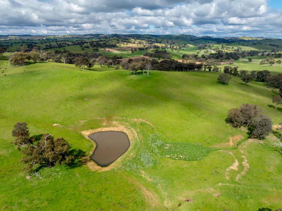 1079 Reg Hailstone Way, Woodstock, NSW, 2538 - Image 19