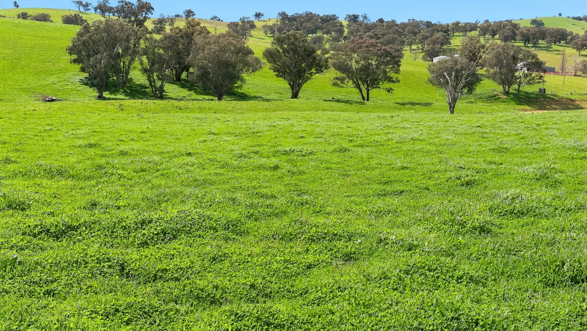1079 Reg Hailstone Way, Woodstock, NSW, 2538 - Image 6