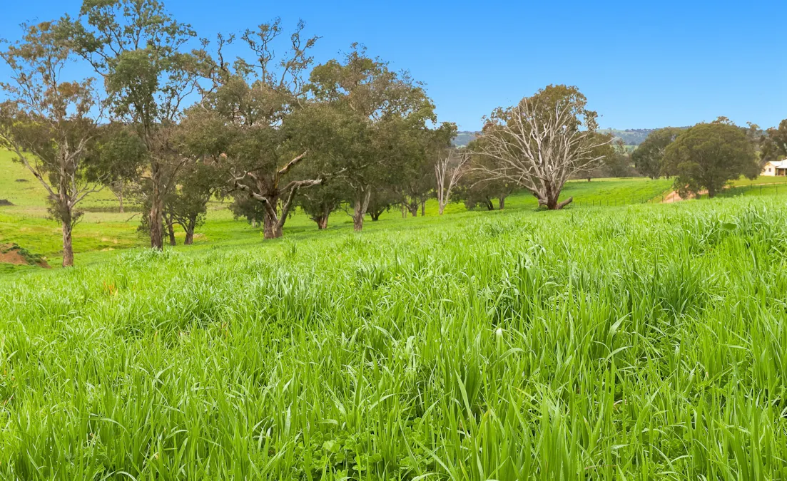 1079 Reg Hailstone Way, Woodstock, NSW, 2538 - Image 7