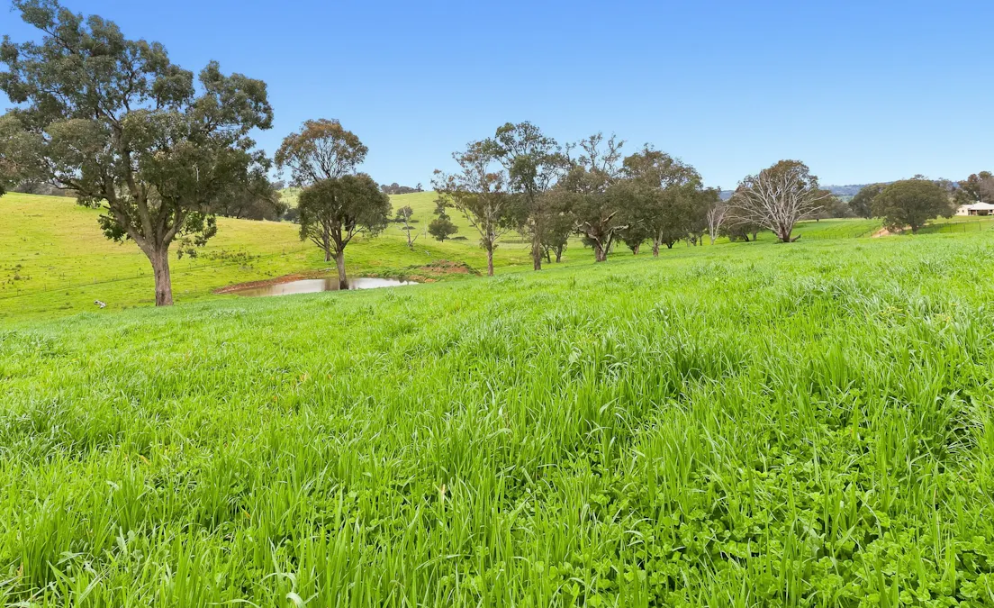 1079 Reg Hailstone Way, Woodstock, NSW, 2538 - Image 31