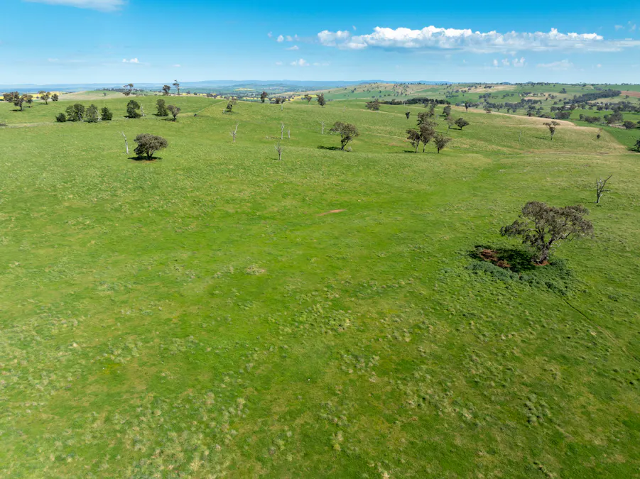 'Burley' 8394 Mid Western Highway, Woodstock, NSW, 2793 - Image 6