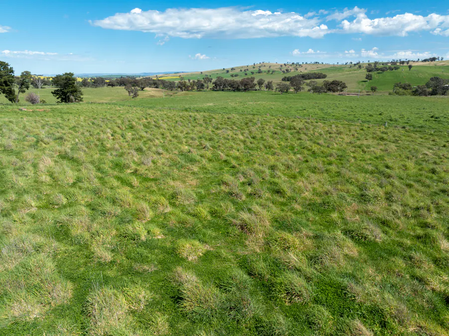'Burley' 8394 Mid Western Highway, Woodstock, NSW, 2793 - Image 16