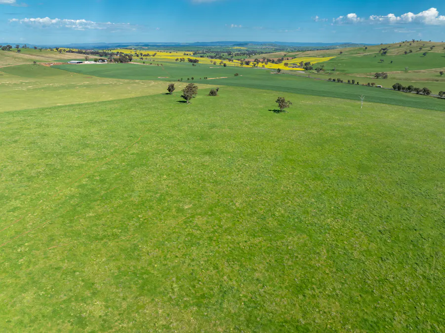 'Burley' 8394 Mid Western Highway, Woodstock, NSW, 2793 - Image 17