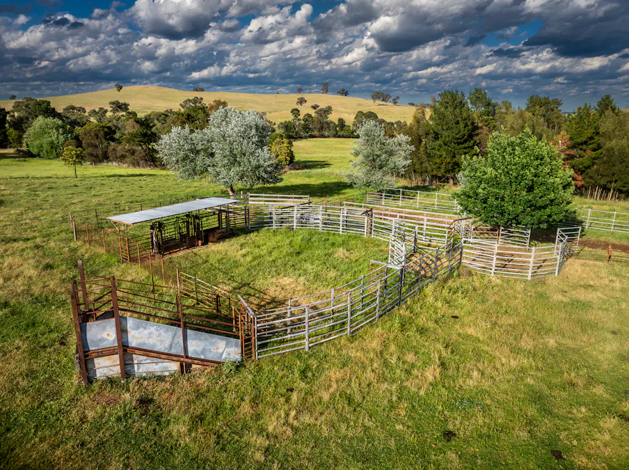 'Burley' 8394 Mid Western Highway, Woodstock, NSW, 2793 - Image 21