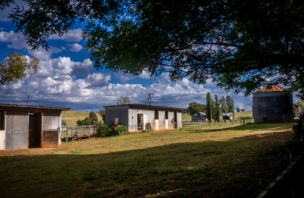 'Burley' 8394 Mid Western Highway, Woodstock, NSW, 2793 - Image 25